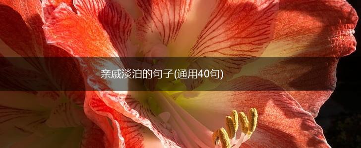 亲戚淡泊的句子(通用40句),第1张