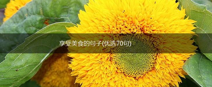 享受美食的句子(优选70句),第1张