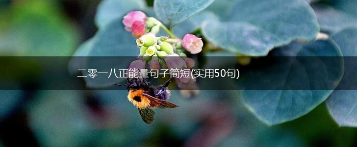 二零一八正能量句子简短(实用50句),第1张