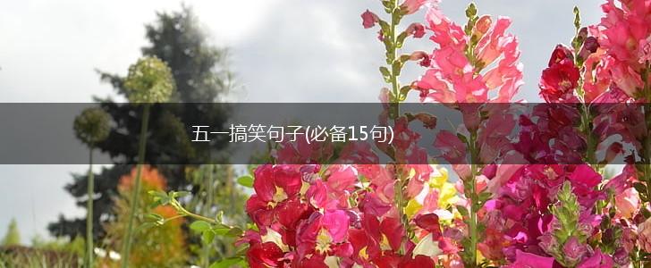 五一搞笑句子(必备15句),第1张