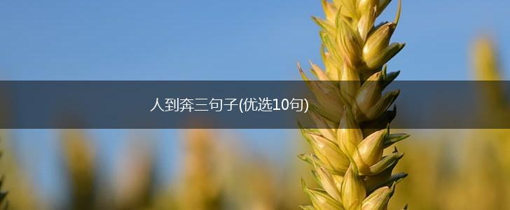 人到奔三句子(优选10句),第1张