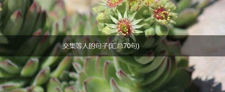 交集等人的句子(汇总70句),第1张