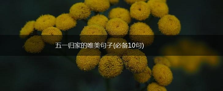 五一归家的唯美句子(必备10句),第1张
