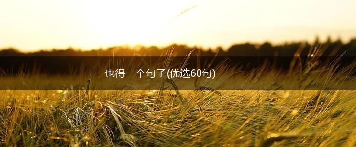 也得一个句子(优选60句),第1张