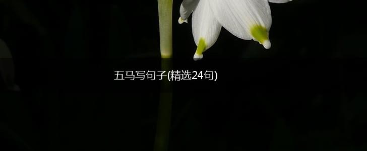 五马写句子(精选24句),第1张