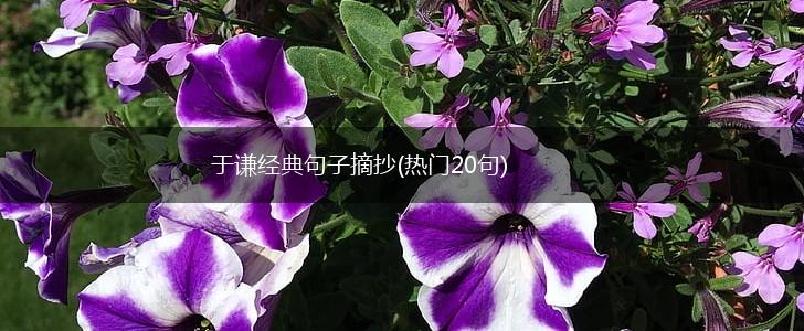 于谦经典句子摘抄(热门20句),第1张