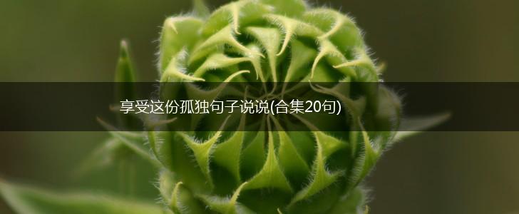享受这份孤独句子说说(合集20句),第1张