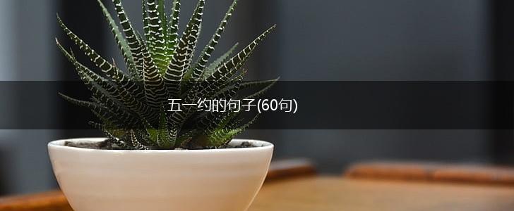 五一约的句子(60句),第1张