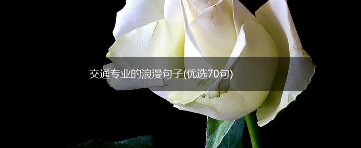 交通专业的浪漫句子(优选70句),第1张