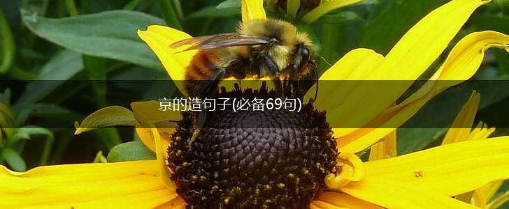 京的造句子(必备69句),第1张