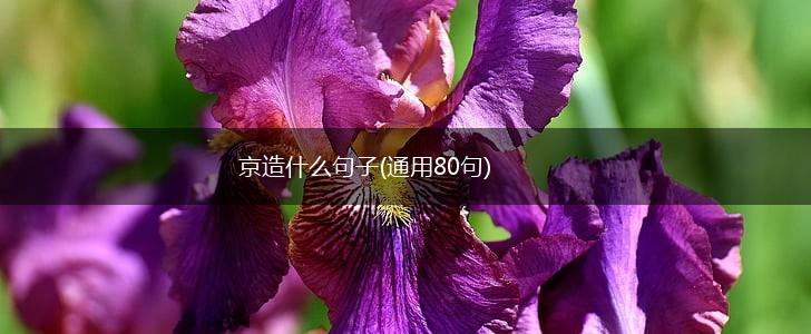 京造什么句子(通用80句),第1张