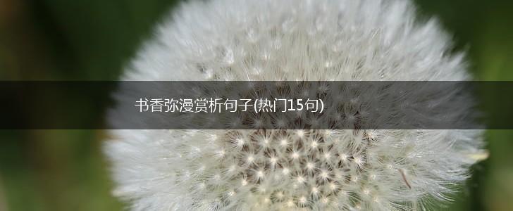 书香弥漫赏析句子(热门15句),第1张