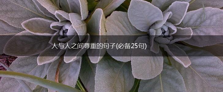 人与人之间尊重的句子(必备25句),第1张