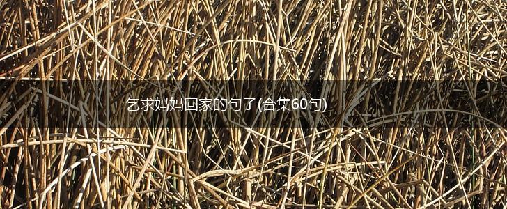 乞求妈妈回家的句子(合集60句),第1张