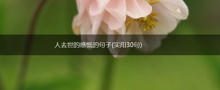 人去世的感慨的句子(实用30句),第1张