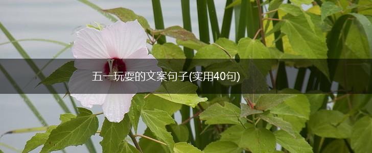 五一玩耍的文案句子(实用40句),第1张
