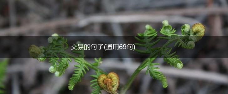 交易的句子(通用69句),第1张