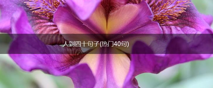 人到四十句子(热门40句),第1张
