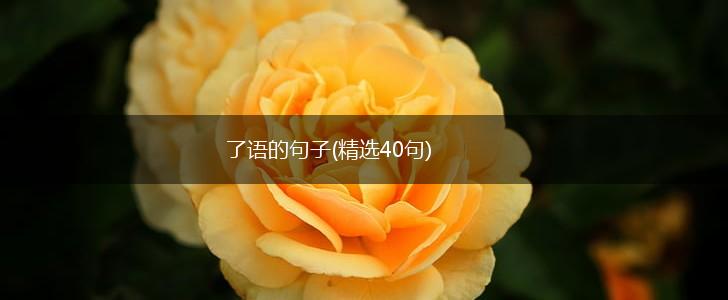 了语的句子(精选40句),第1张