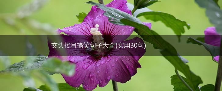 交头接耳搞笑句子大全(实用30句),第1张