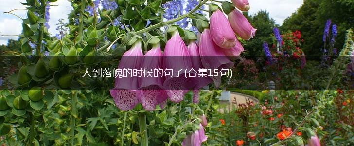 人到落魄的时候的句子(合集15句),第1张