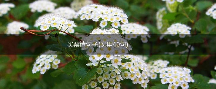 买票造句子(实用40句),第1张