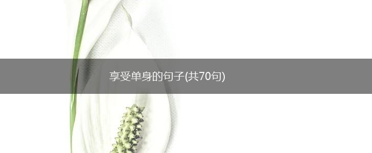 享受单身的句子(共70句),第1张