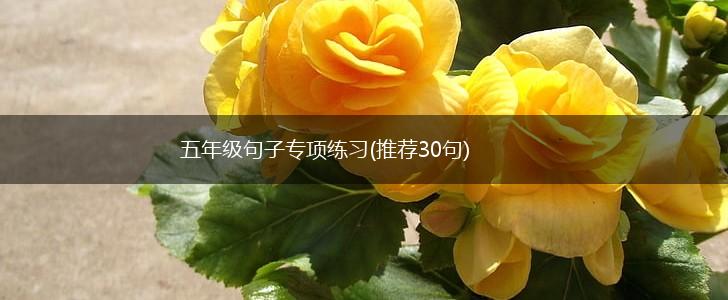 五年级句子专项练习(推荐30句),第1张