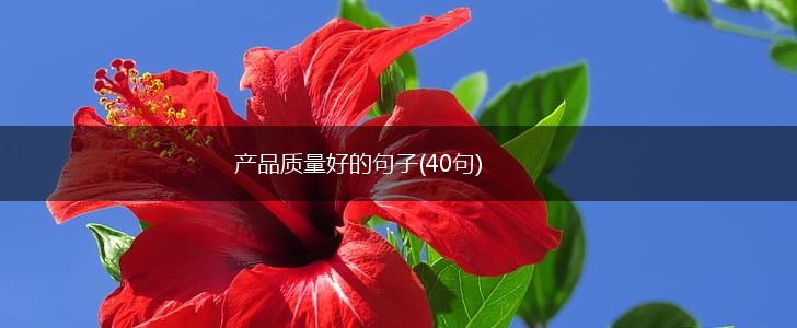 产品质量好的句子(40句),第1张