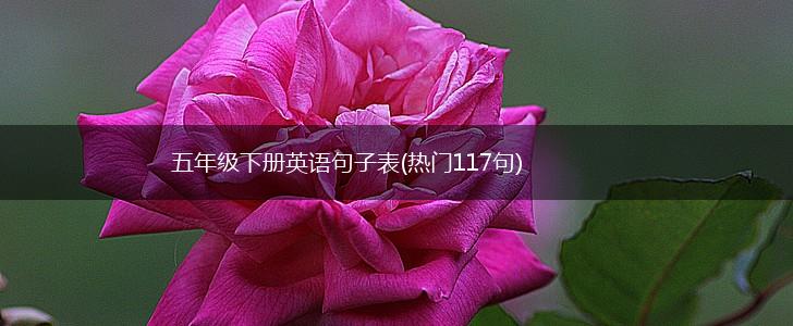 五年级下册英语句子表(热门117句),第1张