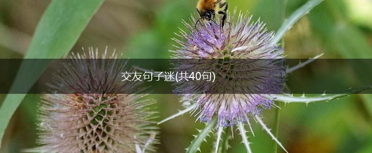 交友句子迷(共40句),第1张