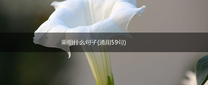 乘组什么句子(通用59句),第1张