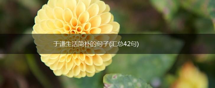 于谦生活简朴的句子(汇总42句),第1张