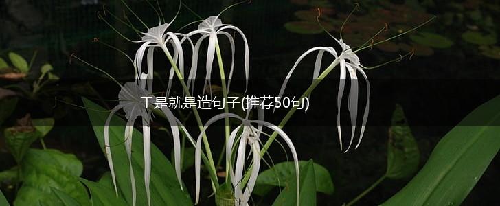 于是就是造句子(推荐50句),第1张