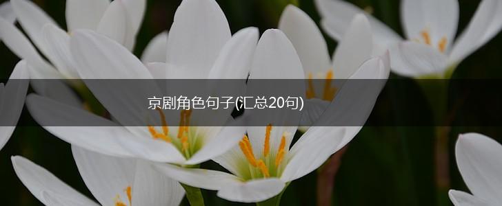 京剧角色句子(汇总20句),第1张