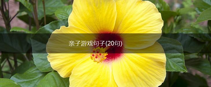 亲子游戏句子(20句),第1张