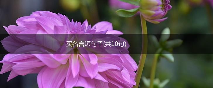 买名言短句子(共10句),第1张