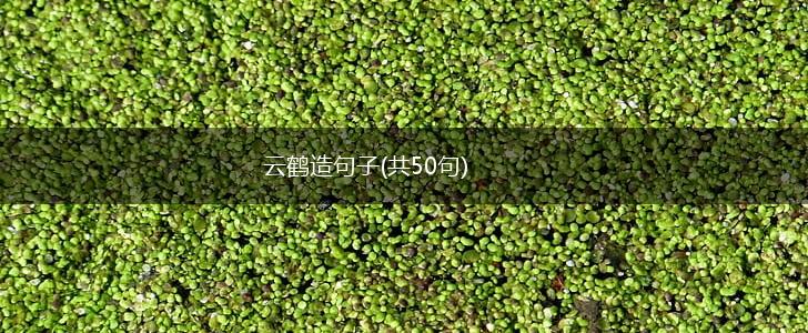 云鹤造句子(共50句),第1张