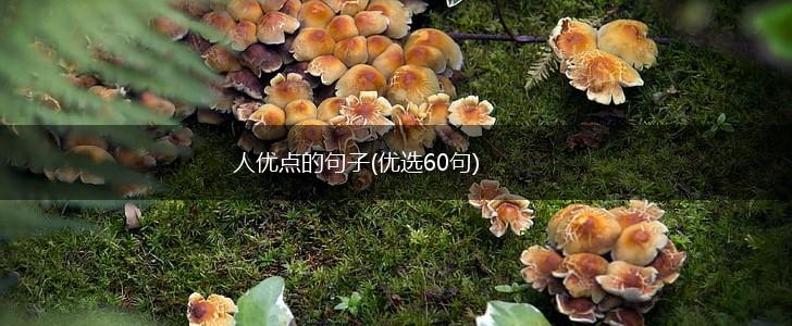 人优点的句子(优选60句),第1张