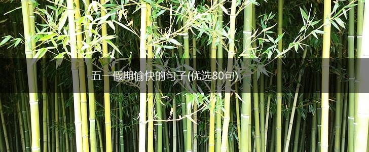 五一假期愉快的句子(优选80句),第1张