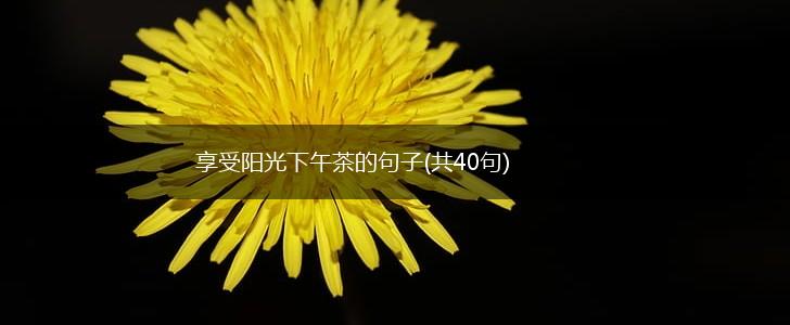 享受阳光下午茶的句子(共40句),第1张