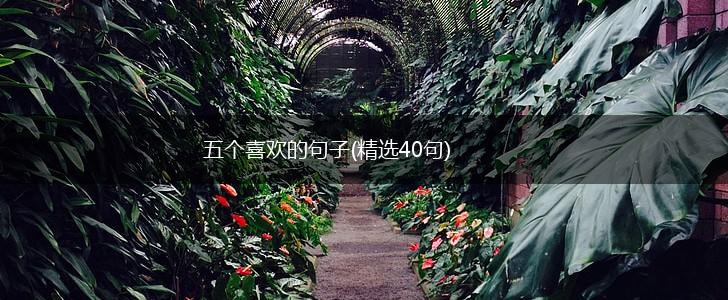 五个喜欢的句子(精选40句),第1张