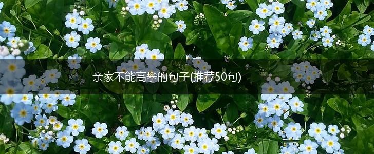 亲家不能高攀的句子(推荐50句),第1张