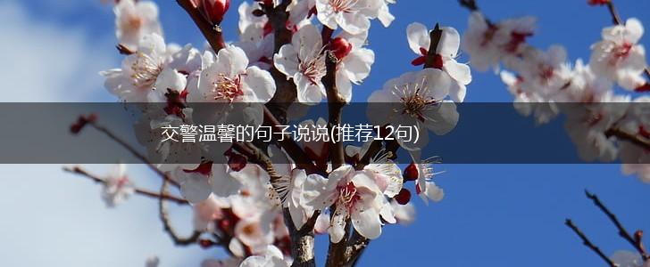交警温馨的句子说说(推荐12句),第1张