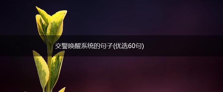 交警唤醒系统的句子(优选60句),第1张