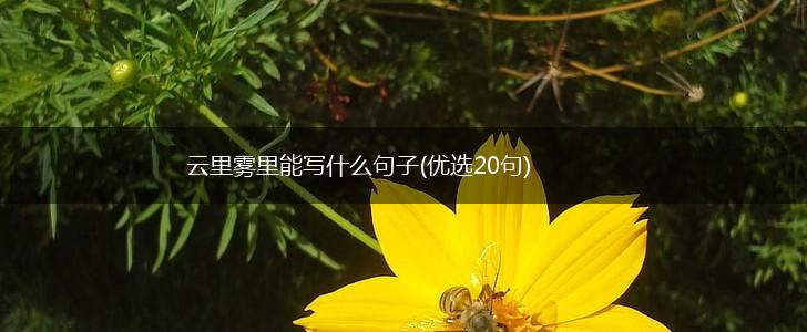 云里雾里能写什么句子(优选20句),第1张