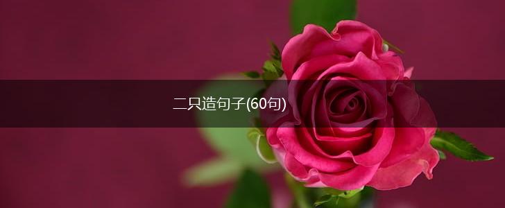 二只造句子(60句),第1张