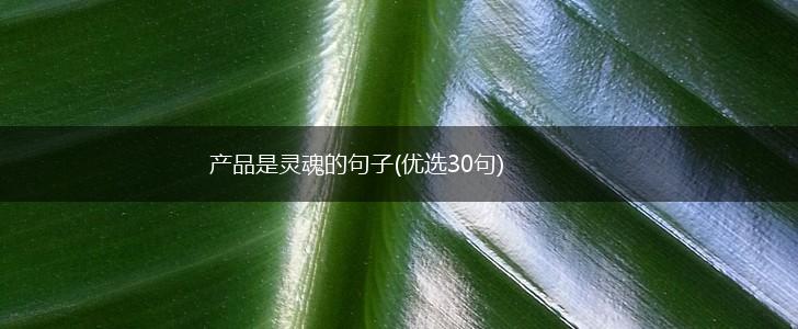 产品是灵魂的句子(优选30句),第1张