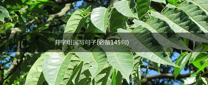 井字组词写句子(必备145句),第1张