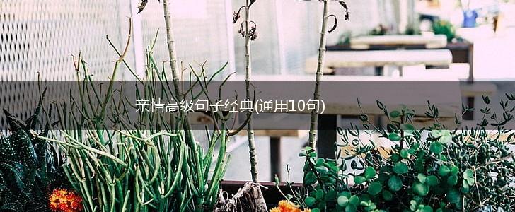 亲情高级句子经典(通用10句),第1张